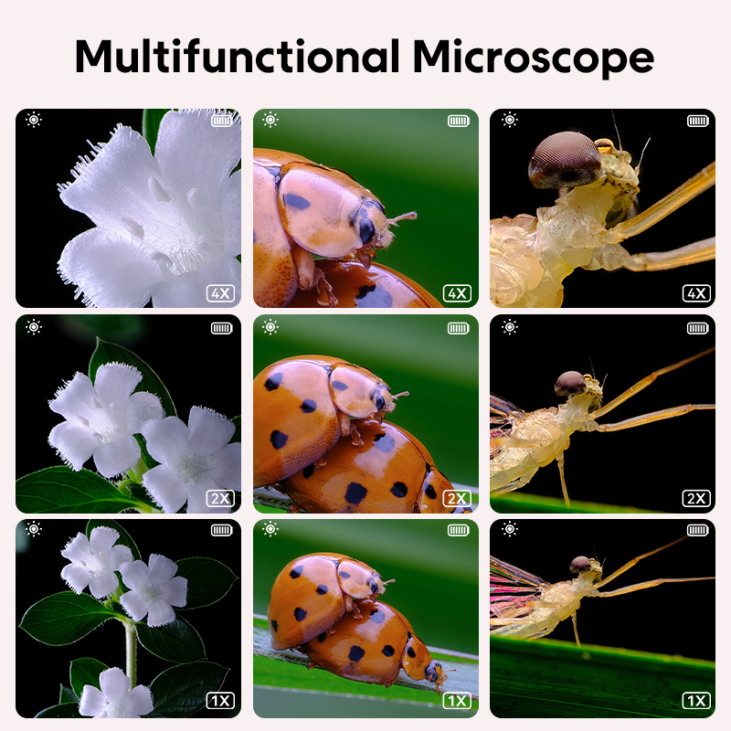 Mini Kids Optical Microscope W - Toys For Kids Video ulasan dan harga